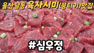 울산달동 육사시미맛집 심우정