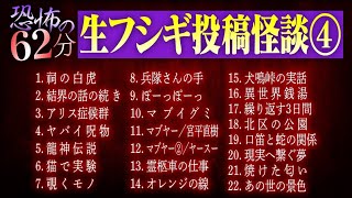 【恐怖の62分】生フシギで紹介した投稿怪談イッキ見せ第4弾！怒涛の16話！【ナナフシギ】