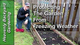 How I Protect my Garden from a Late Frost and Freeze