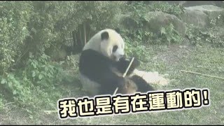 每天一圓仔：年假快結束了 大家有玩得開心嗎--蘋果日報20160212