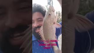 ചെമ്പല്ലി fishing strik കിട്ടിയ lur havas🐟👍👍