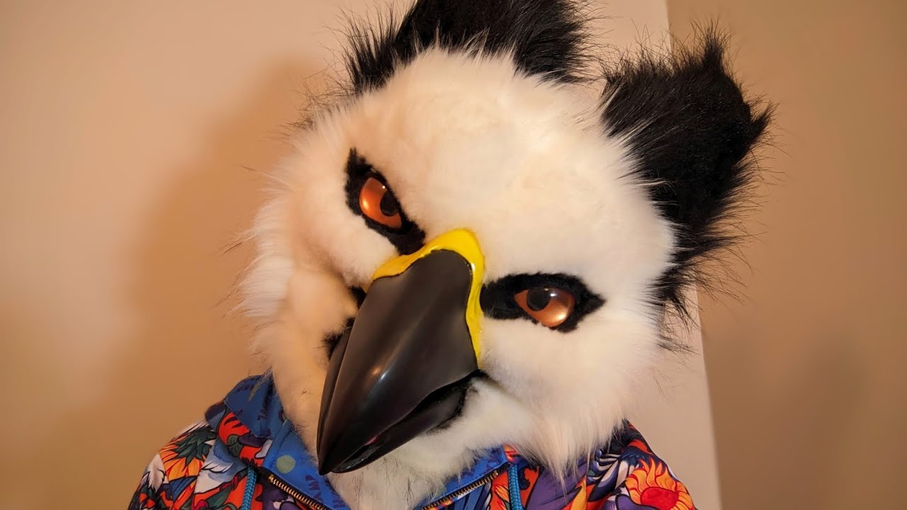Furry Asmr Beak Tapping Youtube