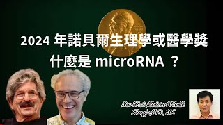 2024年諾貝爾生理學或醫學獎 | 什麼是microRNA？