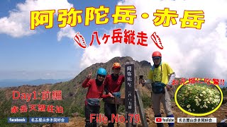 南八ヶ岳縦走 阿弥陀岳・赤岳・横岳・硫黄岳/2部編集…前編/八ヶ岳山荘仮眠 …Day1: 赤岳天望荘宿泊/美濃戸口～南沢コース…行者小屋～中岳道～阿弥陀岳・中岳・赤岳/お花花盛り2023.07.03