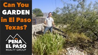 Landscaping and Gardening in El Paso Texas | Is It Even POSSIBLE?