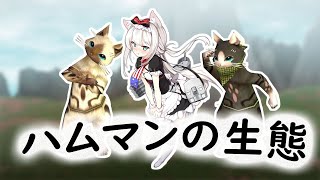 自分のことをモンスターハンターのマスコットだと思い込んでいるハムマン【アズレン】【アズールレーン】