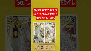 おみくじ的タロット占い「孤独を愛するあまり、迫りつつある危機に気づかない恐れ」