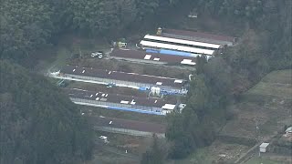 約１１万羽のニワトリの殺処分はじまる　県内の養鶏場で今季初の鳥インフルエンザ確認【香川・三豊市】 (24/02/06 11:45)