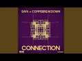 Connection (Original Mix)