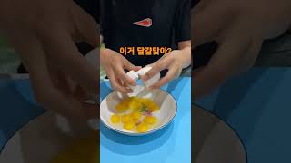 세계에서 제일 큰 달걀? 알이 몇개여 #shorts