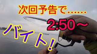 夕マズメシーバス調査［次回予告で衝撃の……girlが……］