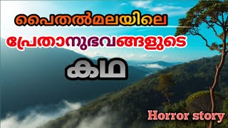 രാത്രിയിൽ പൈതൽമലയിലേക് പോയ മൂന്ന് സുഹൃത്തുക്കൾ നേരിട്ട പ്രേതനുഭവങ്ങൾ | malayalam ghost story