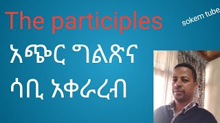 Enjoy learning the participles@Sokem tube/Seifu show /Ashu views