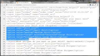 CodeIgniter Tutorial 10 Form Example