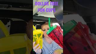 DOLLAR TREE FUN CUPS