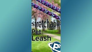 New DIY Stretchable Pet Leash #shorts