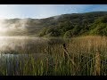 Landscape Photography Early Morning Lake Shoot With Flying Teeth