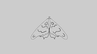 Simple Morphing | Loop Animation Exercise