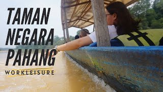 Rapid Shooting Experience at Taman Negara Pahang