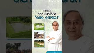 'କ୍ଷେତ ପୋଖରୀ' ରାଜ୍ୟରେ ଆଣୁଛି ଚାଷୀଙ୍କ ସମୃଦ୍ଧି