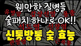 숯패치 숯파스 효능 신통방통!