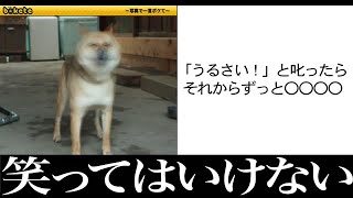 【衝撃】殿堂入り確定の面白ボケてがツッコミどころ満載だったwwwwwwww#傑作選2【なろ屋】【ツッコミ】