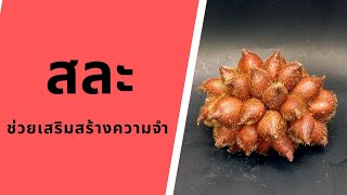 ประโยชน์ของสละ | Salak | กินผักเป็นยา