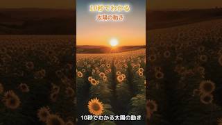 10秒でわかる太陽の動き#太陽 #日の出 #日の入り