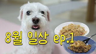 8월 일상 ep.1~ 울집 금쪽이 똑똑이와 함께하는 8월 일상 브이로그