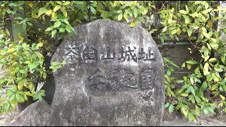 茶臼山城跡と薬師ケ丘の公園めぐり　（広島市　2020.1.11）