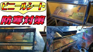 【簡単で即効性あり】リクガメケージの防寒対策！！ビニールシート