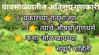 🌱पावसाळ्यातील अतिशय गुणकारी '८' प्रकारच्या रानभाज्या | औषधी गुणधर्म | कशा ओळखायच्या ? संपूर्ण माहिती