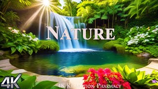 Nature 4k - Stunning Footage - Scenic Relaxation Film With Calming Music   (Nature 4k UHD)