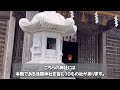 【山梨】忍野八海から近くの神社まで散歩（愛犬aceと夫婦旅）