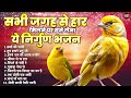 सभी जगह से हार मिलने पर सुने लेना ये निर्गुण भजन ~ जीवन से ना हार ~ nonstop top 10 nirgun bhajan