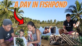 A DAY IN FISHPOND