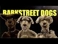 Barkstreet Dogs - Backstreet Dogs