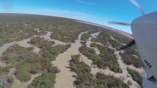 Aerial survey of channels surrounding Narran Lakes