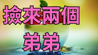 撿來兩個弟弟| 情感故事 | 家庭倫理 |X調查| 江湖李白 | 婚姻 | wayne調查 | 情感