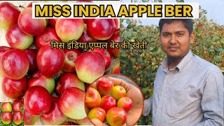 मिस इंडिया एप्पल बेर की खेती : Guide to ₹12 Lakh Income with Miss india Apple Ber Farming.