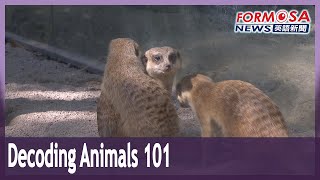 Zookeeper’s tips on decoding animal behavior