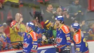 ČEZ Motor Č.Budějovice-HC ZUBR Přerov (6:5sn)