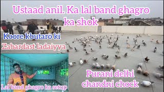 Lal band ghagro ki Zabardast ladaiyya | Ustaad anil ka shok | setup dekh kr ankhe khuli rh jayngi