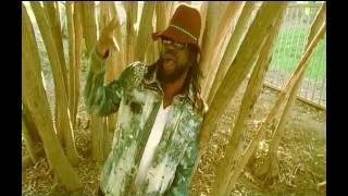 VINCE DURRELL  BANANAS OFFICIAL VIDEO mp4