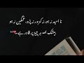 Urdu Quotes That Will Not Let You Give Up | Laila Ayat Ahmad | Most Motivational Video Ever