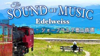 【サウンドオブミュージック】シャーフベルク登山鉄道【エーデルワイス演奏付き】