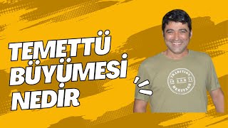 TEMETTÜ BÜYÜMESİ YADA TEMETTÜ VERİMLİLİĞİ NEDİR?