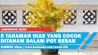 5 Tanaman Hias yang Cocok Ditanam dalam Pot Besar