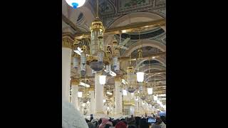 FRIDAY RECITE DAROOD #madinasharif #friday #makkahmadinah #short #shortsvideo #viralvideos #ytshort