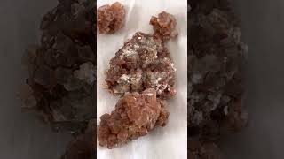 Polymorphism aragonite and calcite